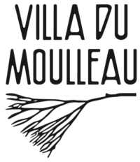 Coupe VILLA DU MOULLEAU
